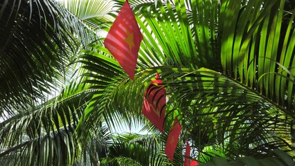 Vietnamese flags hang across a coconut palm tree at a tropical resort in Binh Thuan, Vietnam.