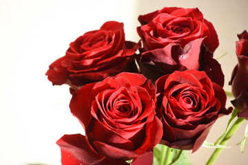 赤い薔薇