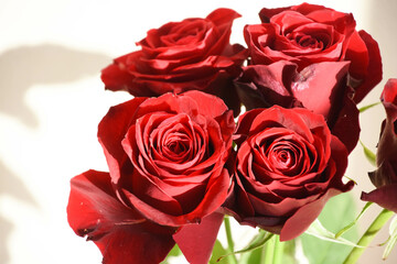 赤い薔薇