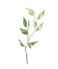 Obraz premium Watercolor Green Branch with Small Leaves Illustration: Botanical Accent for Minimalist Design, Hand Painted Light Foliage Clipart