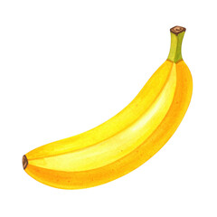Detailed Watercolor Painting of a Single Isolated Yellow Banana Fruit on a Clean White Background for Artistic and Culinary Projects