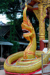 Fototapeta premium Colorful dragon statues in interior and exterior of buddhist temple Wat in Thailand. Thai traditional religious Buddhist architecture with statues of Asian dragons decoration. Thailand traditional art