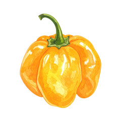 Watercolor Illustration of a Complete Habanero Pepper Isolated on a White Background for Culinary and Design Purposes