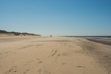 Grassy dunes with view of the blue sea