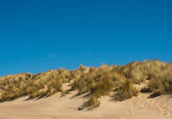 Grassy dunes with view of the blue sea