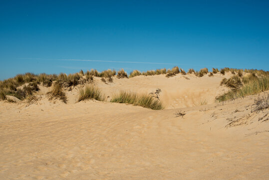 Grassy dunes with view of the blue sea
