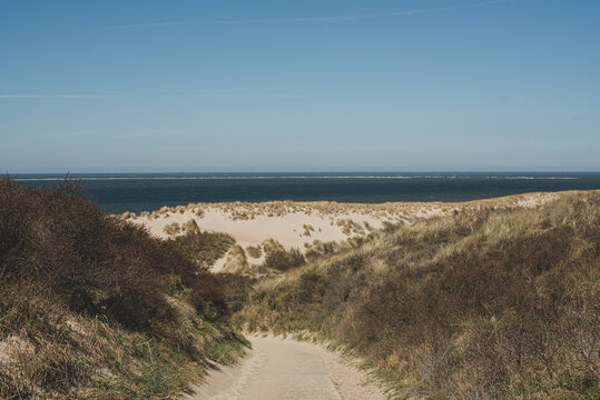 Grassy dunes with view of the blue sea