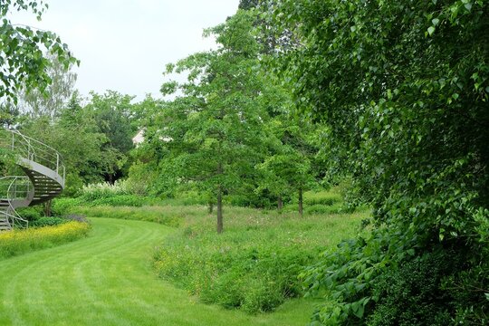a garden with a bridge and a green lawn