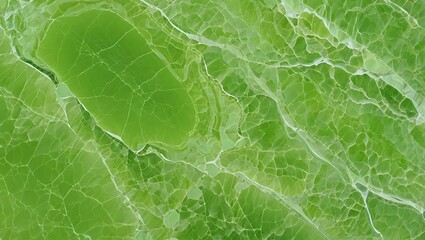 Obraz premium Green Onyx Marble Texture with White Veins and Crystalline Surface in Glossy Macro Detail