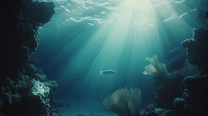 Underwater scene depicting a vibrant coral reef with colorful corals and marine life.