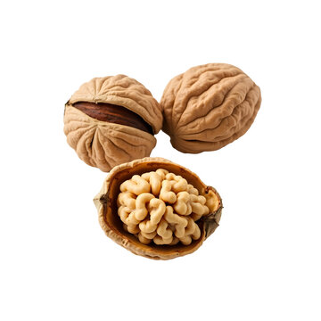 Cracked walnut shell with visible nut kernel, transparent background
