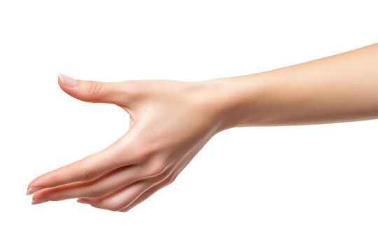 Grabbing gesture by woman hand isolated in high quality transparent PNG on smooth white background
