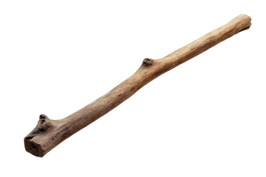 Clean and clear wooden stick PNG image isolated for easy integration into various graphic design needs