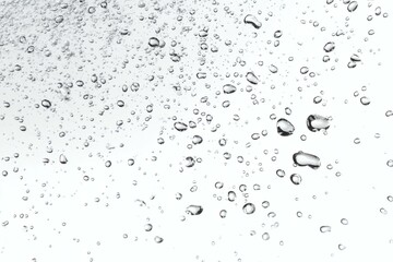 Water Droplets and Bubbles on a White Background