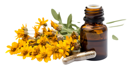 Professional Arnica Herbal Medicine Isolated on White Background