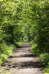 Old Didcot to Southampton railway used as a footpath, Burghclere, Hampshire, England, United Kingdom, Europe