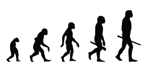 Evolution of human silhouettes vector. Evolution Silhouettes. silhouette of a girl