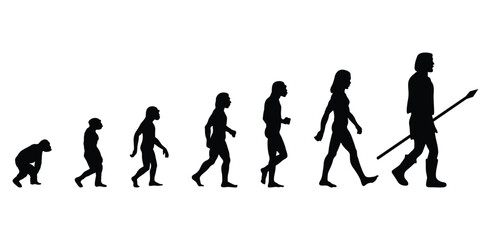 Evolution Silhouettes. silhouettes of people