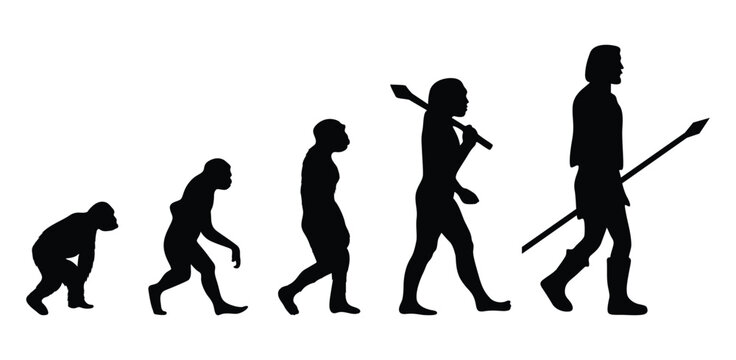 Human evolution silhouettes vector. Evolution of human silhouettes vector. vector silhouettes of people