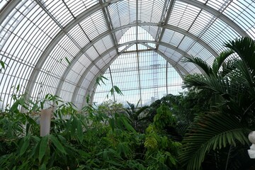 a large glass dome with a white flower
