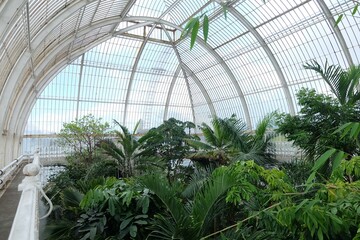 a large greenhouse with lots of plants inside