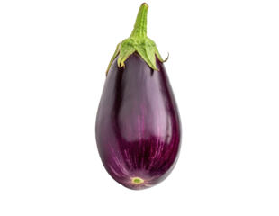 eggplants isolated on transparency or jpeg background