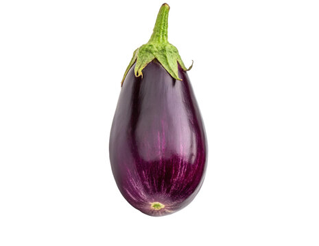 eggplants isolated on transparency or jpeg background