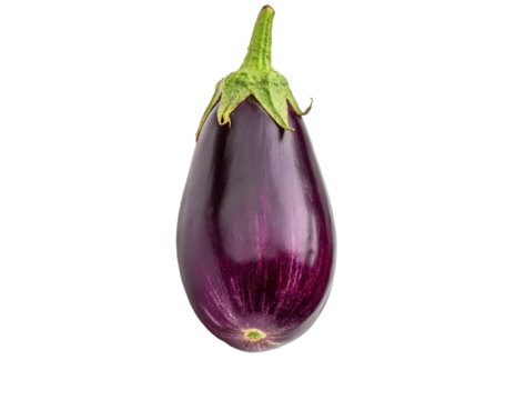 eggplants isolated on transparency or jpeg background