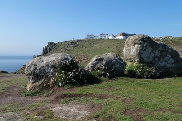 a large rock in the grass