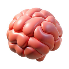 Human brain anatomy model for education, brain power, intelligence, mind, memory and mental health concept