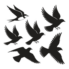 vector silhouettes of birds