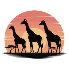 Fototapeta premium Silhouette of a Camel in the Desert at Sunset