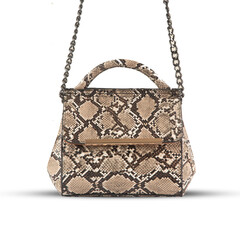 snake skin  ladie's  bag isolated on on white background