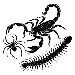 vector illustration of a scorpion