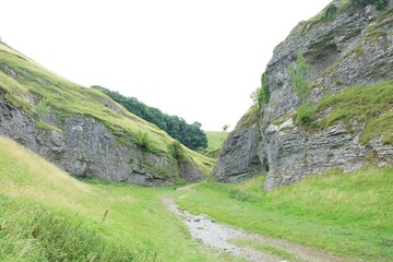 Obraz premium a narrow path through a rocky gorge