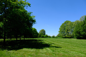 Grugnotorto park near Milan in April