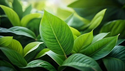 Obraz premium exploring the greenery of nature close up of leaves in a lush environment