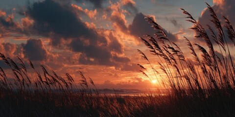 Serene Sunset Silhouette Over Peaceful Field for Meditation and Relaxation
