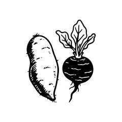 Sweet Potato and Beetroot Hand-drawn Root Vegetable Illustration