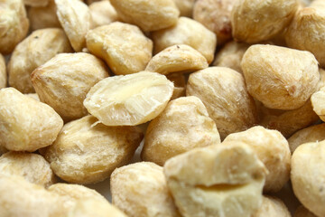 Texture and background of Candlenut (Aleurites moluccana) close up
