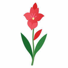 Beautiful Gladiolus flower with green leaves in a detailed vector illustration, perfect for floral-themed digital designs and print projects.