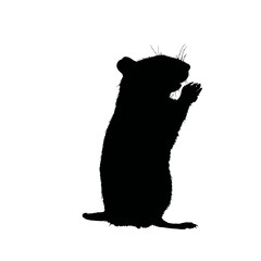 Solid black silhouette of a hamster eating