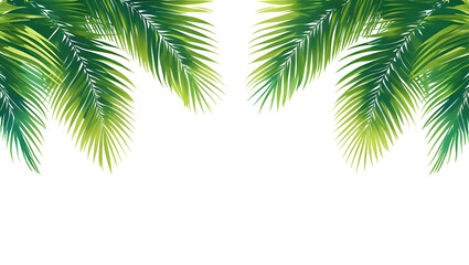 Fototapeta premium Isolated tropical palm tree branch with green leaves, a natural element of summer foliage against a white background