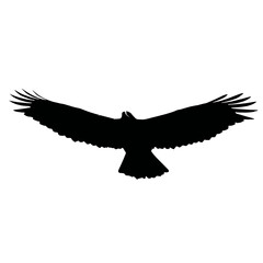 Solid black silhouette of a hawk soaring
