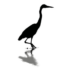 Solid black silhouette of a heron fishing