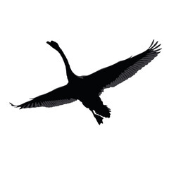 Solid black silhouette of a swan gliding