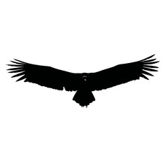 Solid black silhouette of a vulture circling