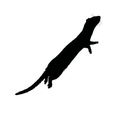 Solid black silhouette of a weasel hunting