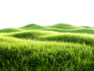 Lush Green Grassy Hills Against Transparent Background