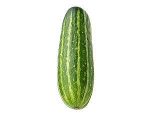 cucumber isolated on transparency or jpeg background